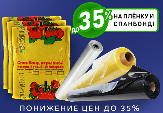 Главная